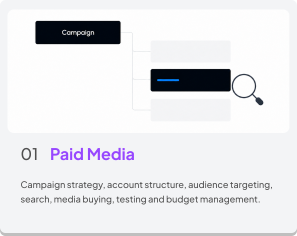 Paid Media